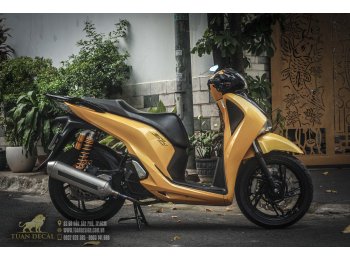 DECAL CANDY  ĐỖI MÀU CAO CẤP 